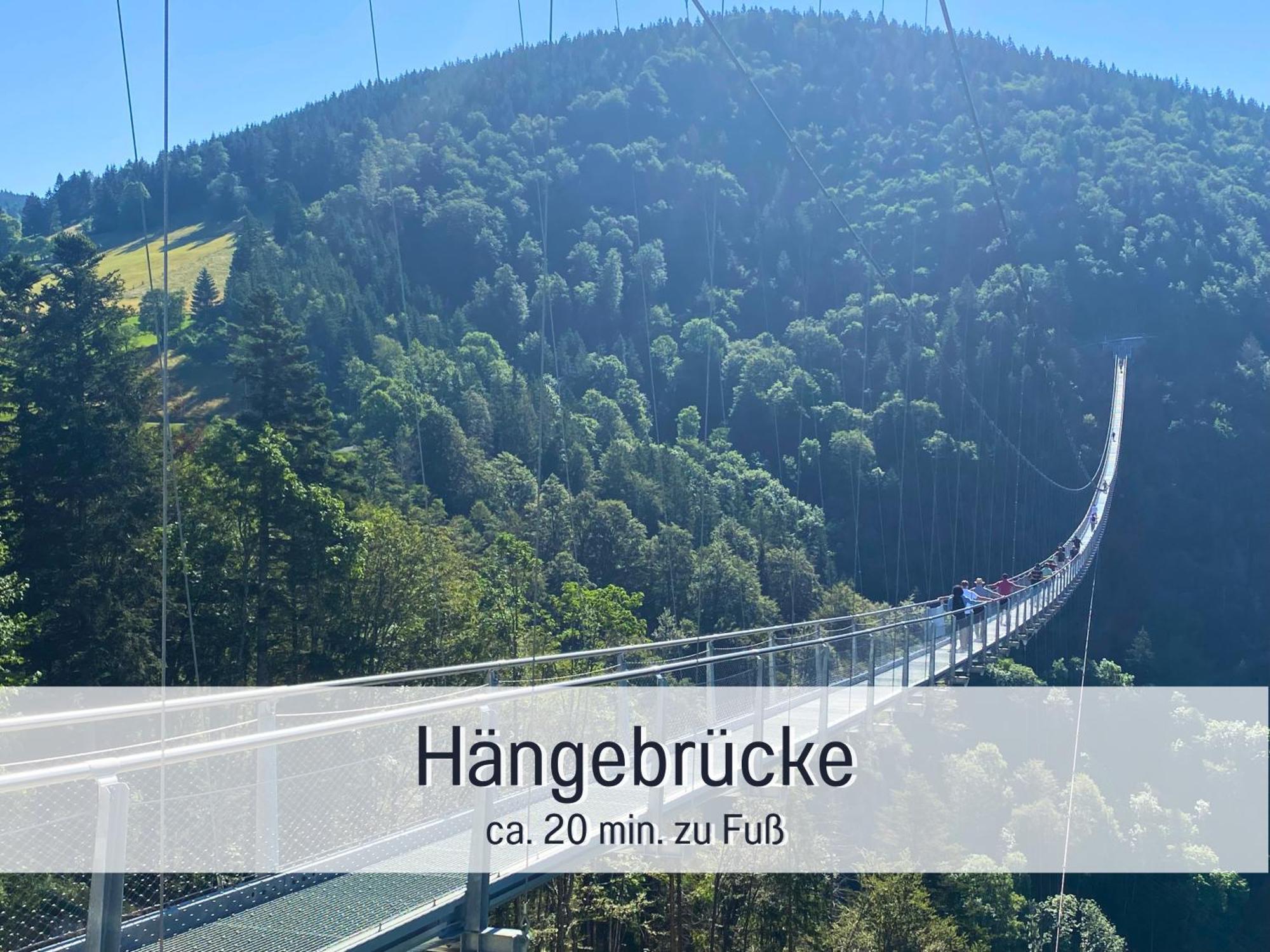 Herzgruen Direkt An Traumhaften Wanderwegen Balkon Mit Toller Aussicht Sauna Im Haus Tiefgarage E-Ladestation Todtnauberg Ngoại thất bức ảnh