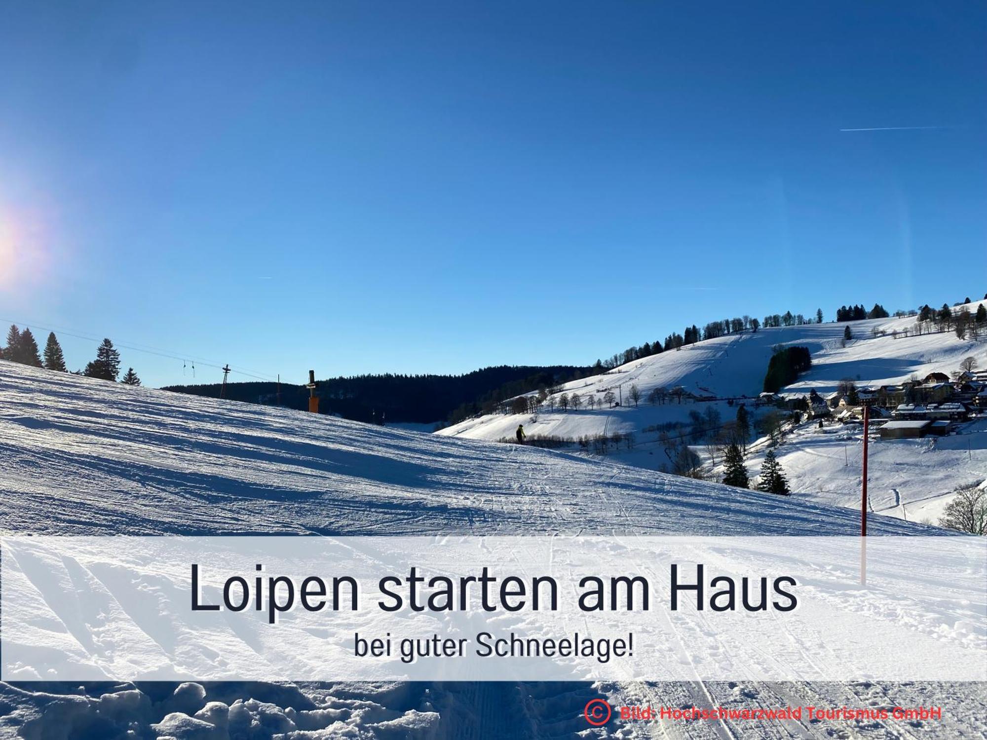 Herzgruen Direkt An Traumhaften Wanderwegen Balkon Mit Toller Aussicht Sauna Im Haus Tiefgarage E-Ladestation Todtnauberg Ngoại thất bức ảnh