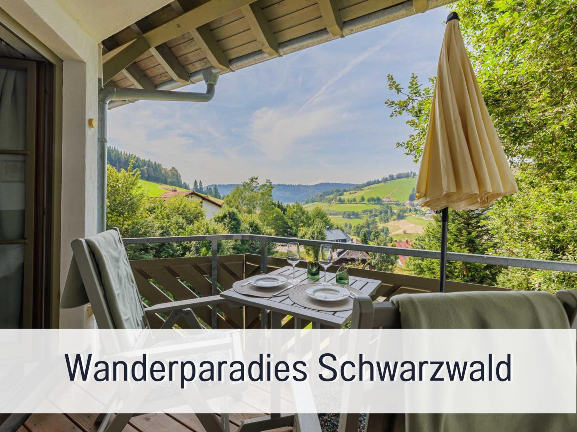 Herzgruen Direkt An Traumhaften Wanderwegen Balkon Mit Toller Aussicht Sauna Im Haus Tiefgarage E-Ladestation Todtnauberg Ngoại thất bức ảnh